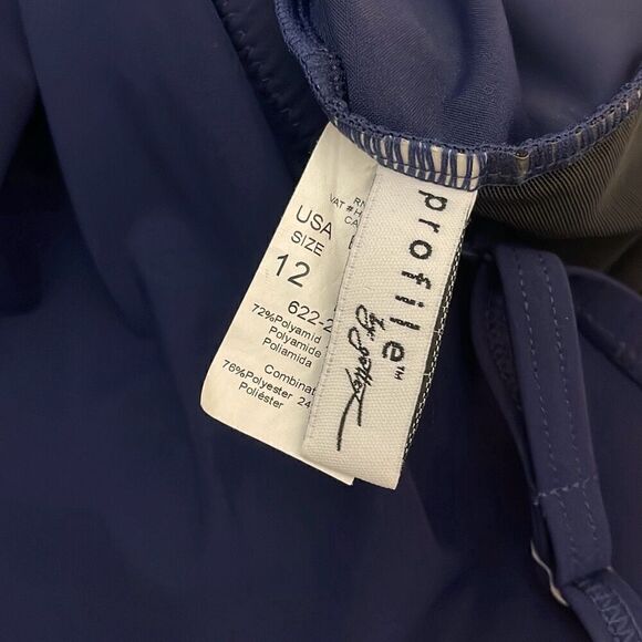 Profile by Gottex Enchantment Bandeau Swimdress 12 - Picture 5 of 6